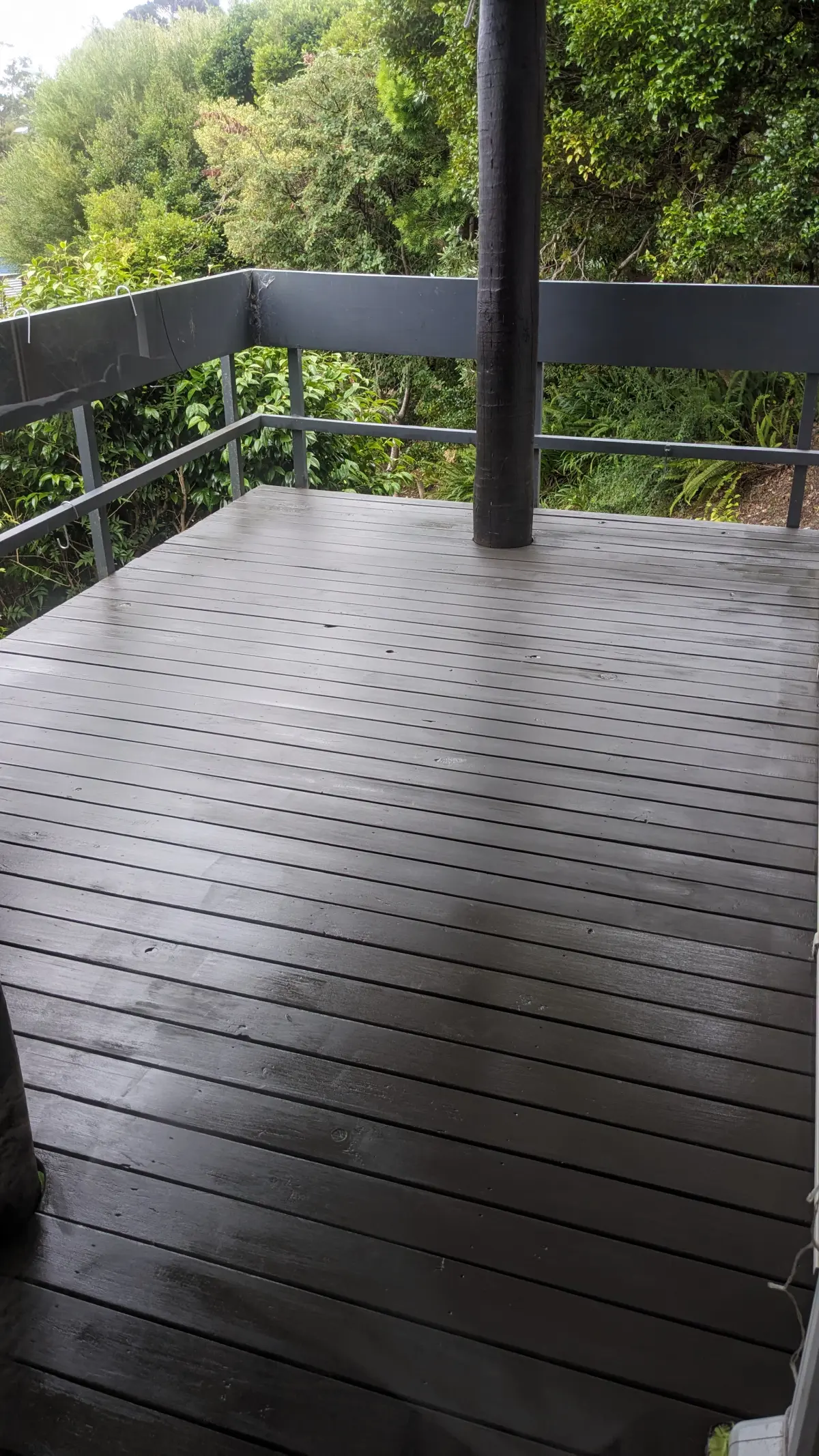 Deck Staining - Beach Haven